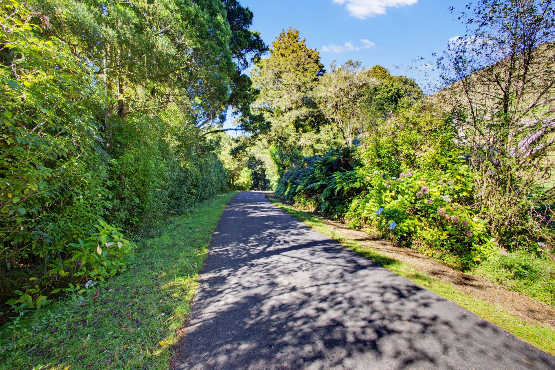 822 Motukawa Rd Inglewood_0