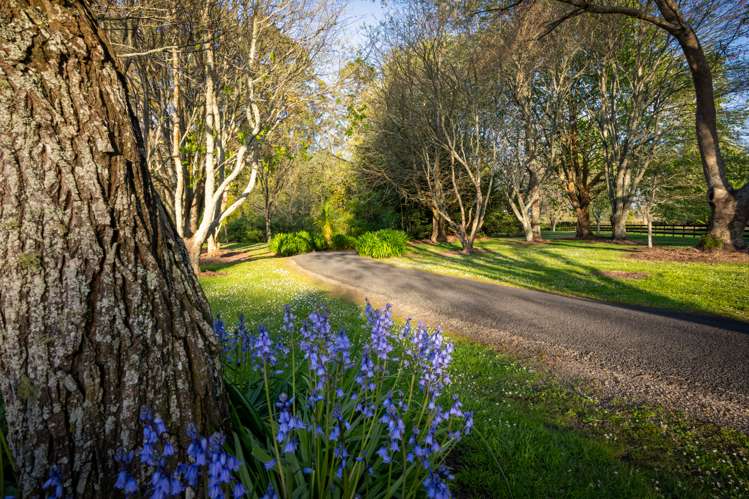 110 Butcher Road Matangi_5