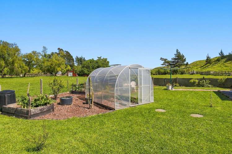70 Montgomery Road Westmere_28