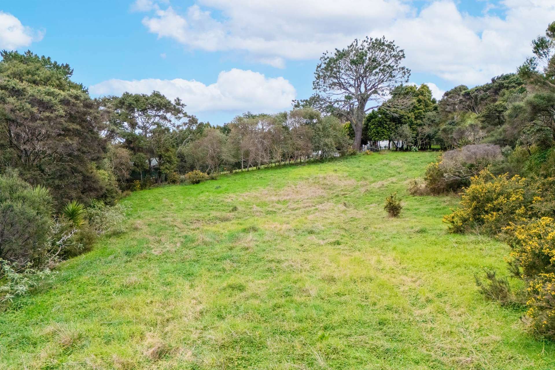 16 Stevensons Crescent Albany_0