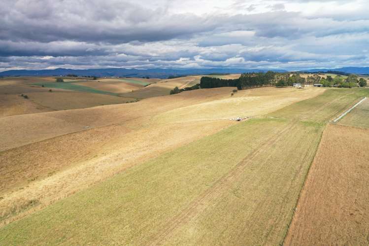 479 South Boundary Road Waitohi_20