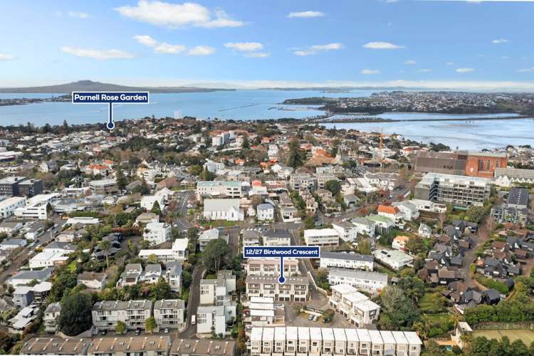 12/27 Birdwood Crescent Parnell_21