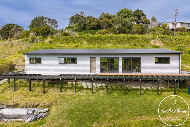 Finish the Vision in Whakapirau