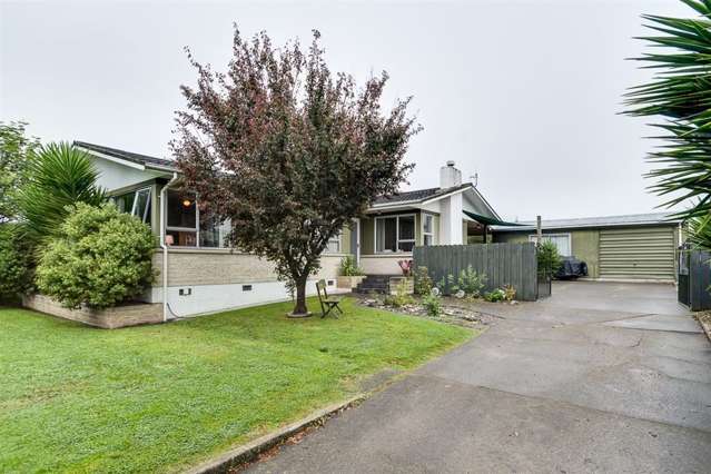 43 Plunket Street Tamatea_1