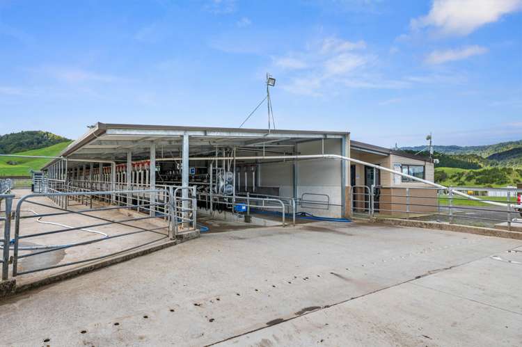 283 Minginui Road Galatea_36