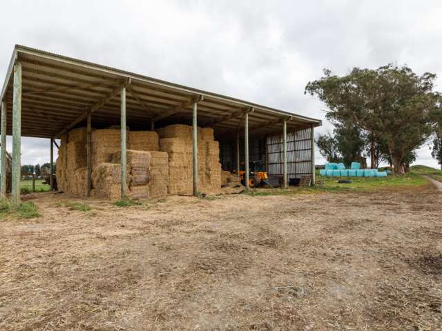 1500 Wellington Road Marton_2