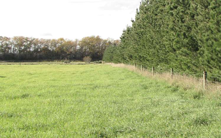 12 Kingfisher Lane Loburn_7