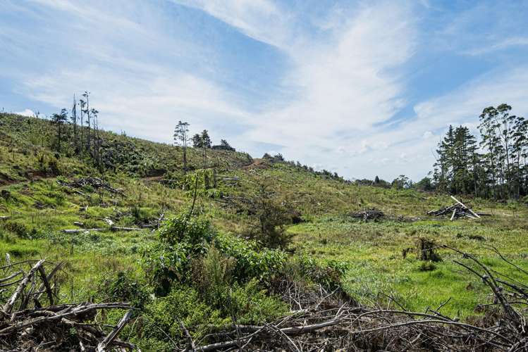 Puhipuhi Road Whakapara_12