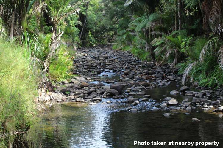 411a Henderson Valley Road Henderson Valley_17