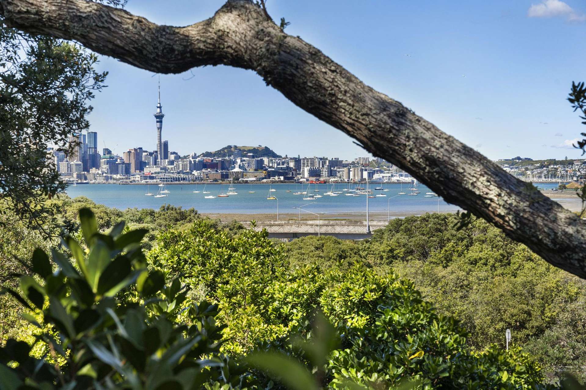 31B Sylvan Avenue Northcote_0