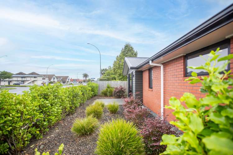 1/206 Ulster Street Whitiora_5