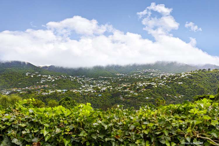 45 Cecil Road Wadestown_8