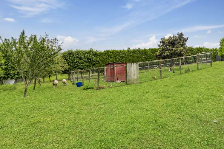 390b Old Highway Whakamarama_19