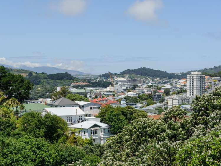 33 Devon Street Aro Valley_4