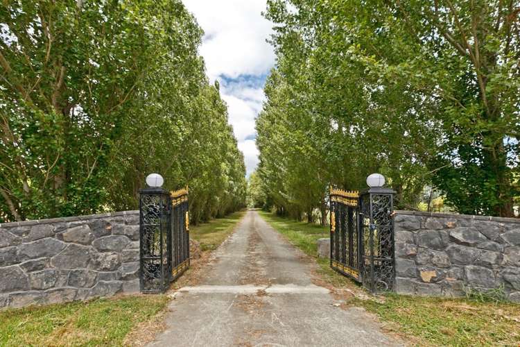 124 Bawden Road Dairy Flat_6