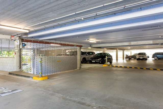 205 Great South Road Greenlane_1