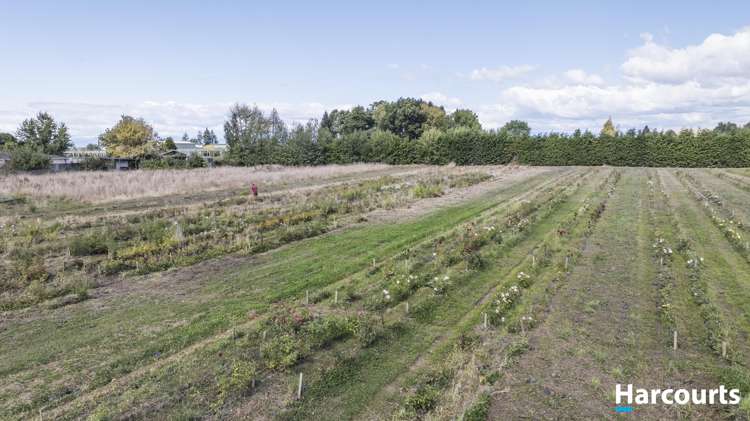 77 Douglas Road Motueka_45