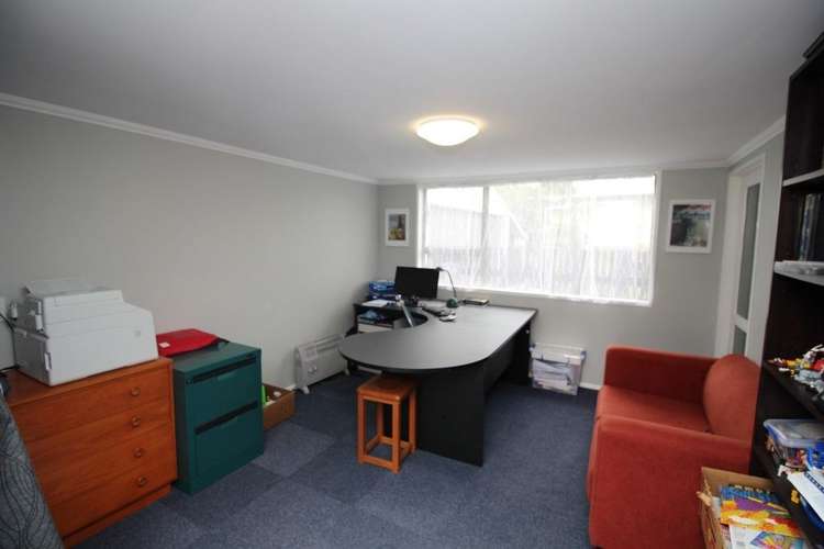 15 Wilson Street Bulls_7