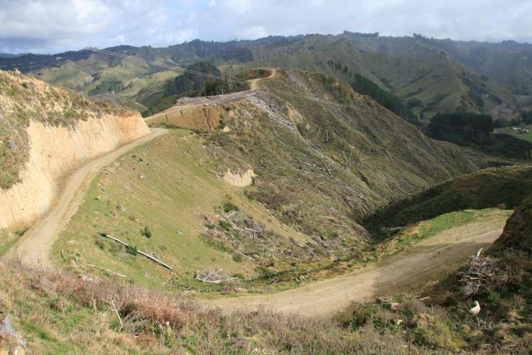 0n Makakaho Road Ngamatapouri_15