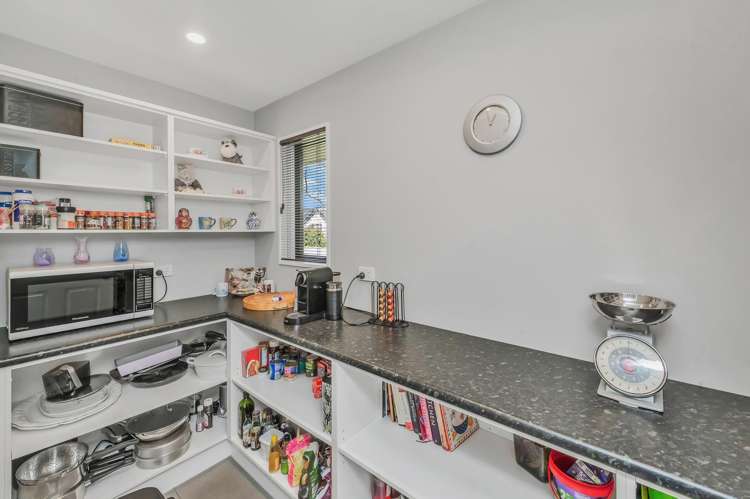 245 Southfield Drive Lincoln_6