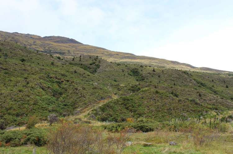 2 Kiwi Street Makarora_1