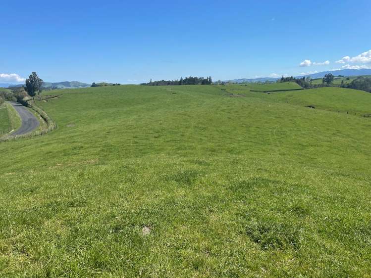 Ngaroma Road Wharepuhunga_11