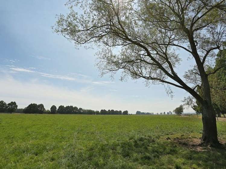 74 Reid Road Winton Surrounds_14