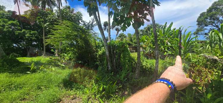 Address withheld Pacific Harbour_15