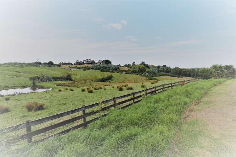 69 Jean Mackay Place Dairy Flat_7