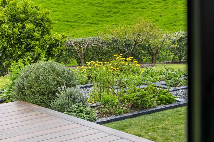 477 Waiau Pa Road Waiau Pa_50