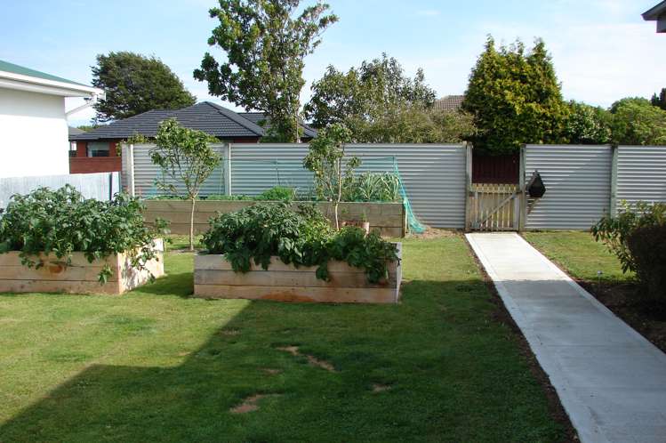 234 George Street Waverley_13