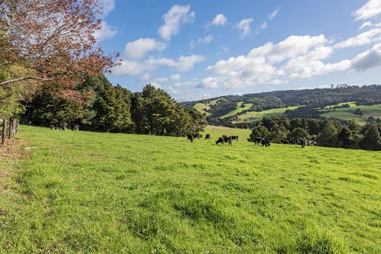 43 Waiariki Road Whakapara_17