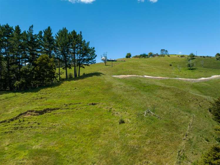 19 Toots Drive Kawakawa_8