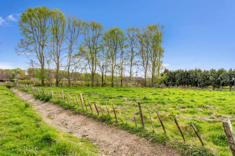 15 Bond Road Ormond_10