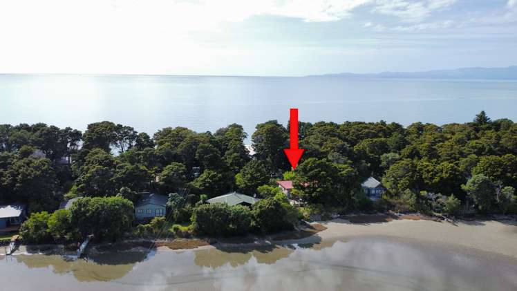 50 Totara Avenue Collingwood_11