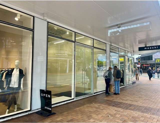 5/115 Victoria Street Te Aro_1