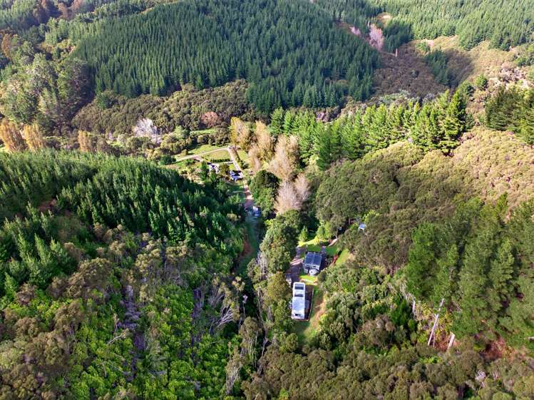 1598 Pack Spur Road Mataikona_29