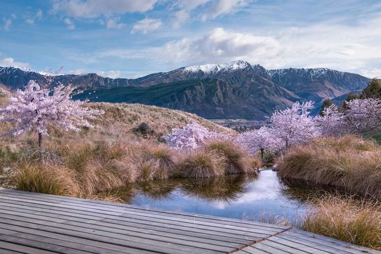 92 Wilding Road Dalefield/Wakatipu Basin_12