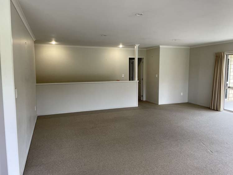 23b Donald Street Regent_16