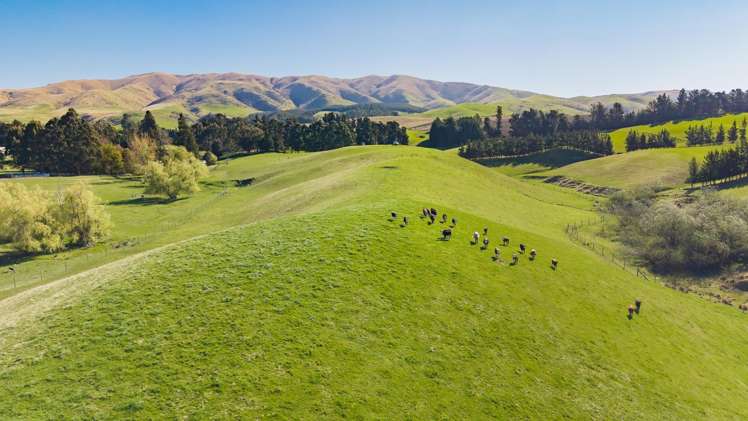 94 Douthwaites Road Waimate Surrounds_32