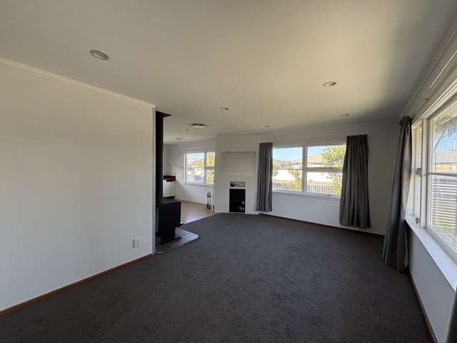 88 Blankney Street Hornby_3