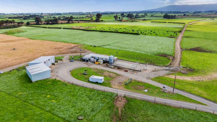 479 Upper Glenn Road Manaia_17