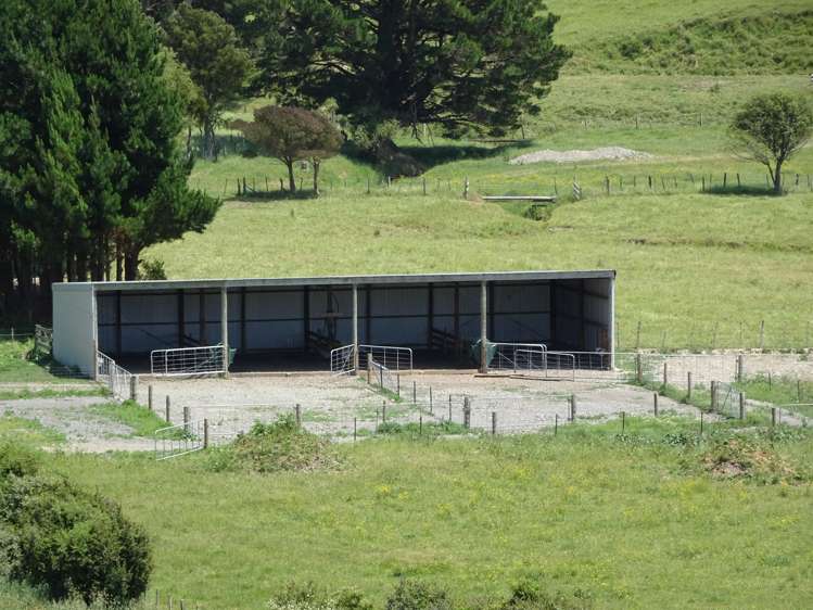 454 Parkville Road Eketahuna_10