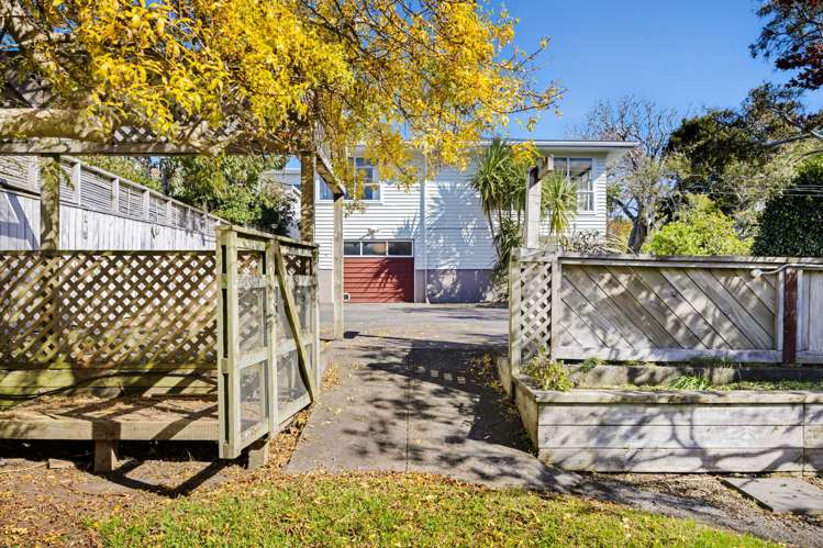 3a Waimea Street Westown_7