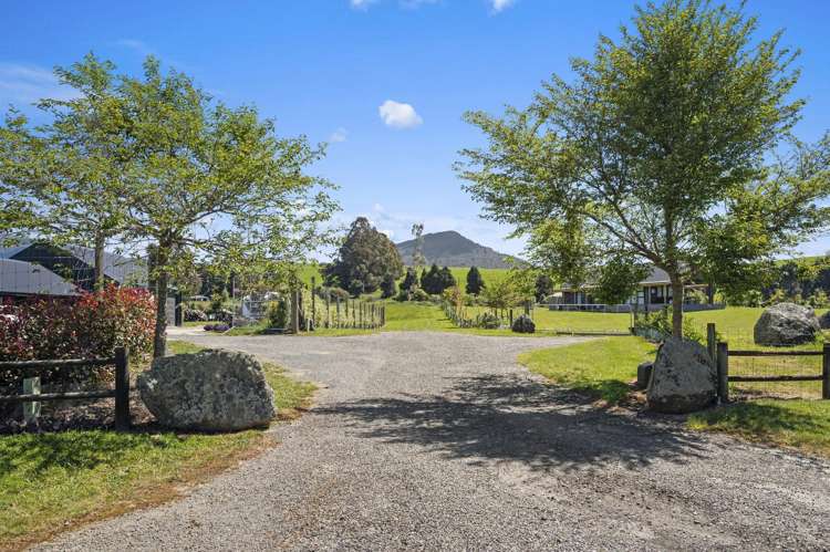 46 Parerohi Grove Pukawa_2