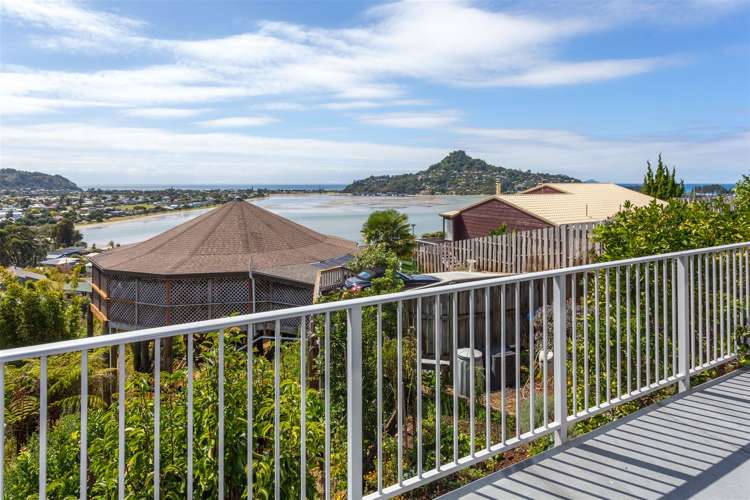 8 Pine Grove Tairua_17