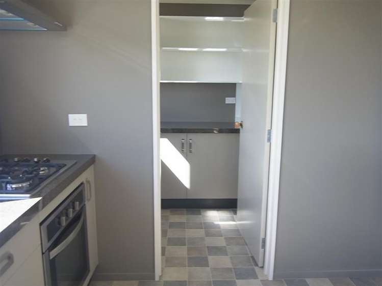 243 Trickers Road Bulls_3