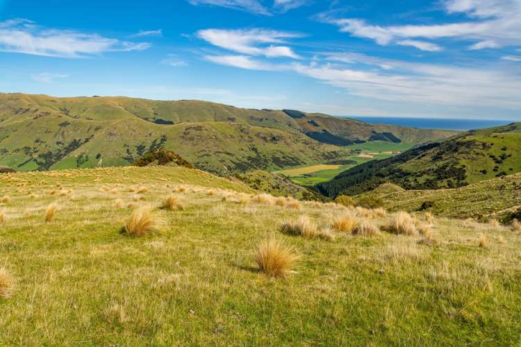 44 Parkinsons Road Ataahua_9