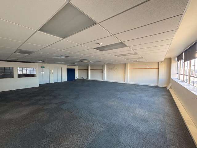 89-93 Rangitikei Street Palmerston North_2