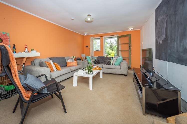 46a Livingstone Avenue Nawton_5